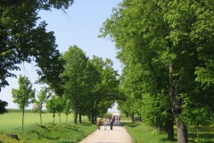 EXPO 2006 028